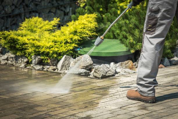 Best Parking Lot Cleaning in Hallettsville, TX